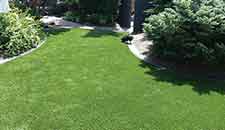 canadian-artificial-backyard-grass